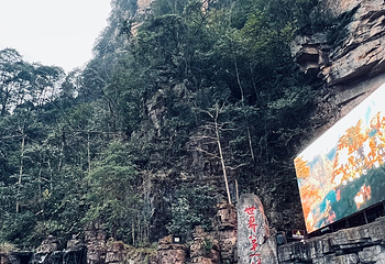 张家界国家森林公园第 377 张图片