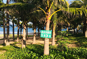 海棠广场第 45 张图片