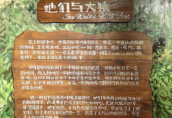 红山森林动物园第 129 张图片