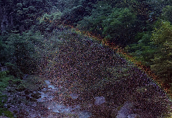 武隆天生三桥第 157 张图片