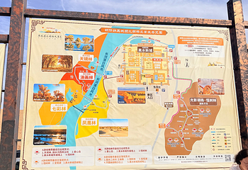 黑城弱水胡杨风景区第 111 张图片