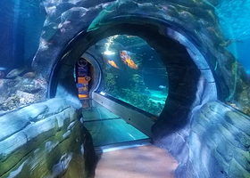 SEA LIFE Arizona Aquarium