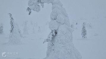 里西山国家公园