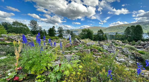 特罗姆瑟植物园