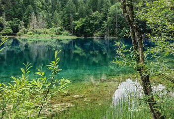 九寨沟风景区第 442 张图片