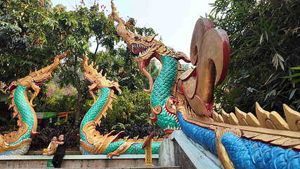 西双版纳勐泐文化旅游区第 53 张图片