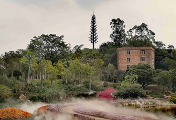 青秀山第 186 张图片