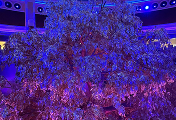 永利澳门吉祥树第 38 张图片