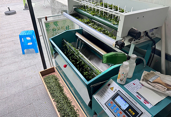 杭州龙坞茶村第 26 张图片