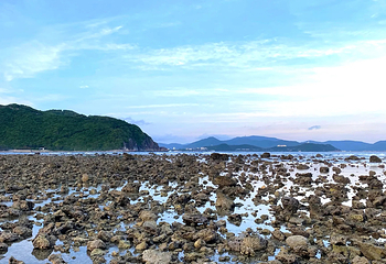 小东海第 60 张图片