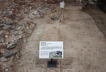 南越王博物院(王宫展区)第 151 张图片