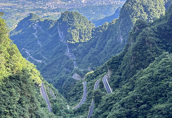 天门山国家森林公园第 241 张图片
