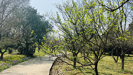 钟山风景名胜区第 44 张图片