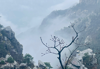 庐山风景名胜区第 340 张图片