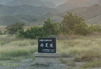 西夏陵第 309 张图片