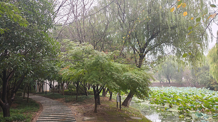 香山景区第 66 张图片