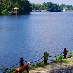 琴湖湿地公园