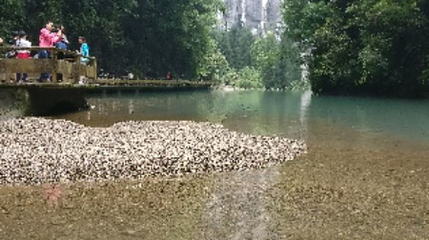 武隆天生三桥风景区-清风阁第 1 张图片