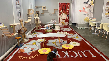 猫咪派对(万达店)