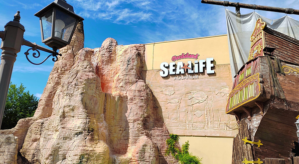 加达云霄乐园海洋生物水族馆