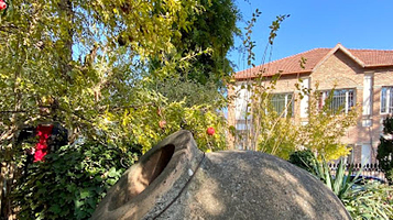 mikheil mamulashvili garden