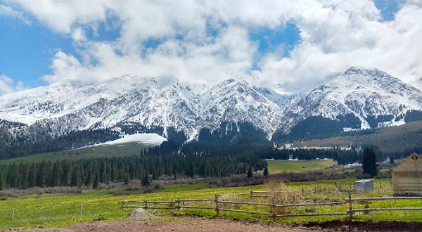 Shamshy Nature Reserve