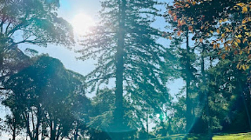 Hamilton Lake Walkway