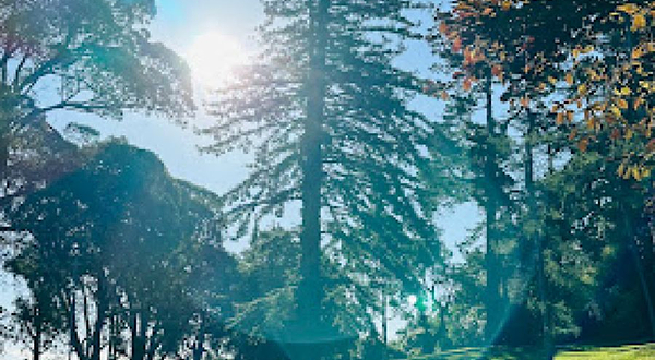 Hamilton Lake Walkway