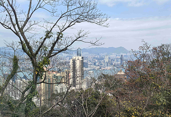 太平山顶第 163 张图片
