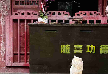 大兴善寺第 53 张图片