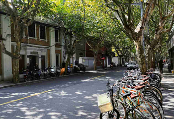 巨鹿路第 12 张图片