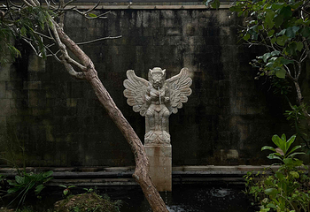 乌布第 213 张图片