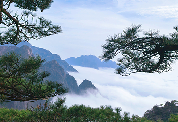 黄山风景区第 268 张图片