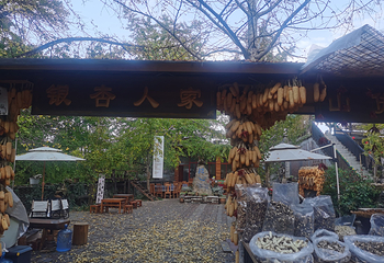 银杏村第 62 张图片
