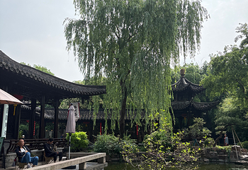个园第 215 张图片
