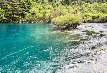 九寨沟风景区第 422 张图片