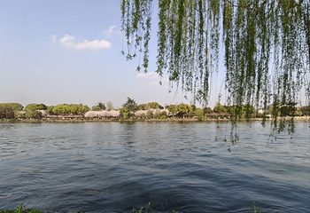 苏州古运河第 101 张图片