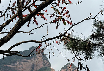 黄崖洞文化旅游区第 122 张图片