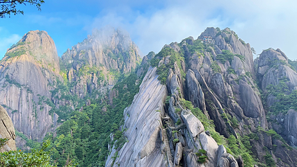 黄山风景区第 40 张图片