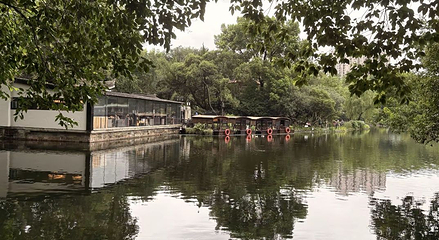 鲁迅公园第 48 张图片