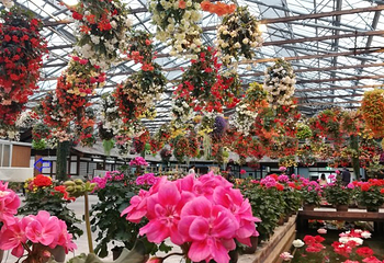 松江花鳥園第 10 张图片