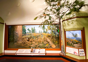 圣塔巴巴拉自然历史博物馆