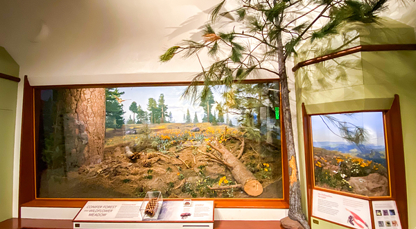 圣塔巴巴拉自然历史博物馆