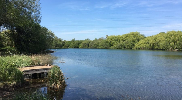 Anton Lakes Local Nature Reserve