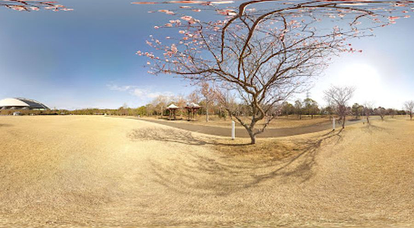 大分スポーツ公園多目的広場