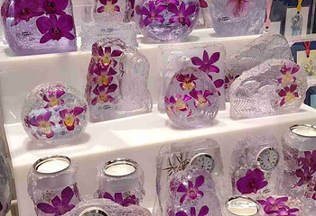 新加坡滨海湾花园第 137 张图片