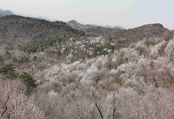 八达岭长城第 178 张图片