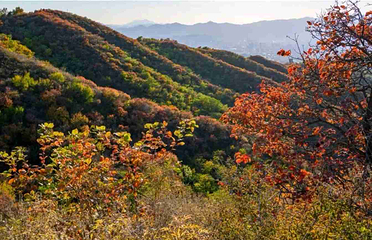 北京西山国家森林公园第 30 张图片