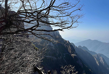 黄山风景区第 293 张图片