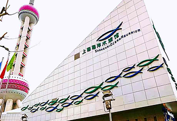 上海海洋水族馆第 180 张图片